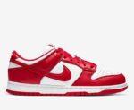 NIKE SB DUNK RED