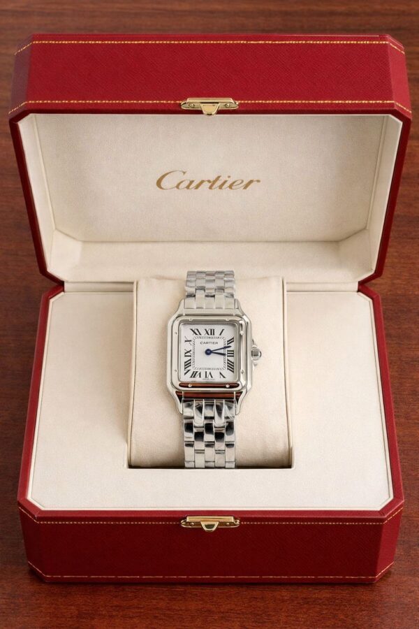 Cartier santos de cartier