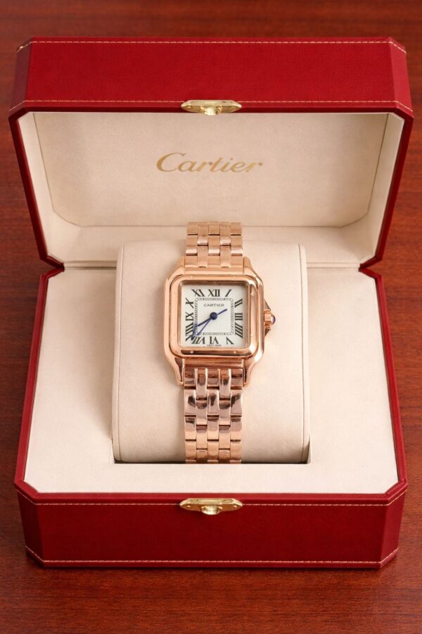 Cartier santos de cartier