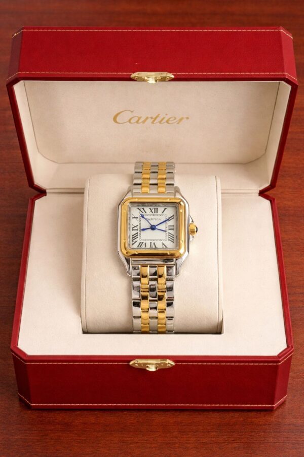 Cartier santos de cartier