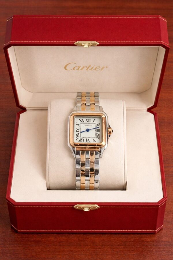 Cartier santos de cartier