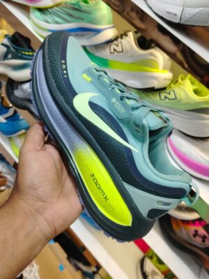 Nike pegasus 42