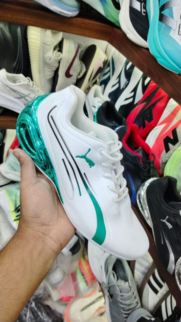 Puma drift cat delta
