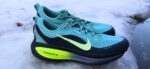 Nike pegasus 42