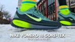 Nike pegasus 42