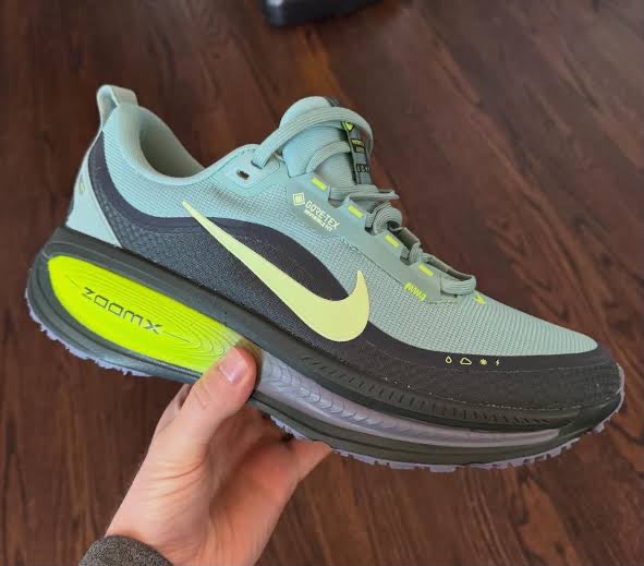 Nike pegasus 42