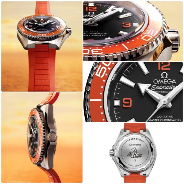 Omega sea master planet ocean 600M royal edition