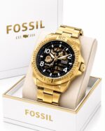 Fossil bronson
