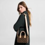 LV Speedy Bandouliere 20 Handbag