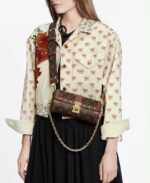 LV pappilon trunk bag