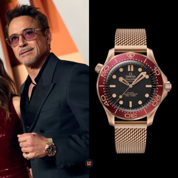 Omega seamaster diver