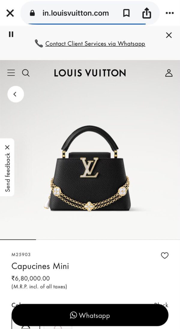Louis vuitton capucines