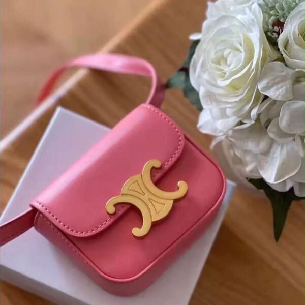 Celine mini claude sling bag