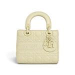 Lady dior matte handbag