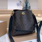 Coach willow bucket shoulder bag