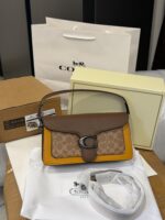 Coach tabby